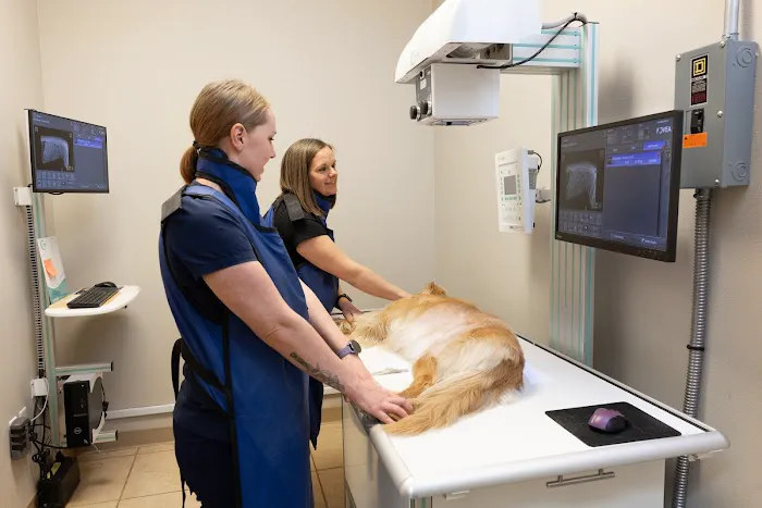 Nixa Animal Hospital Picture 8