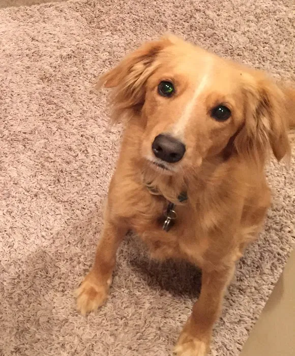 Nixa Animal Hospital Picture 7