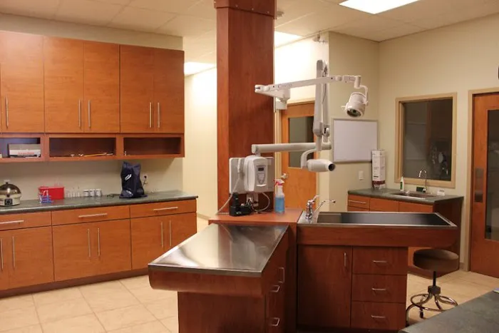 Ramsey, Molly DVM Picture 4