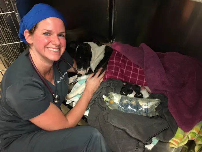 Ramsey, Molly DVM Picture 1