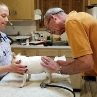 Pfander Michael B DVM ico