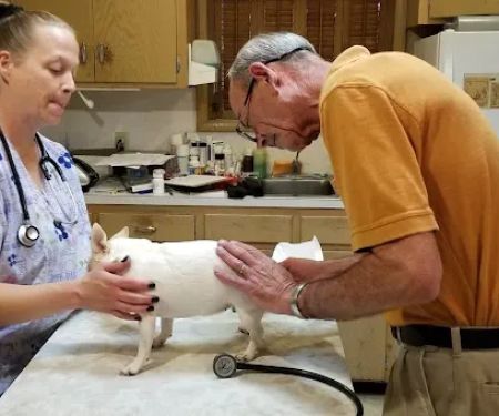 Pfander Michael B DVM