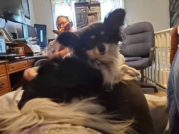 Cottage Veterinary Hospital Picture 1