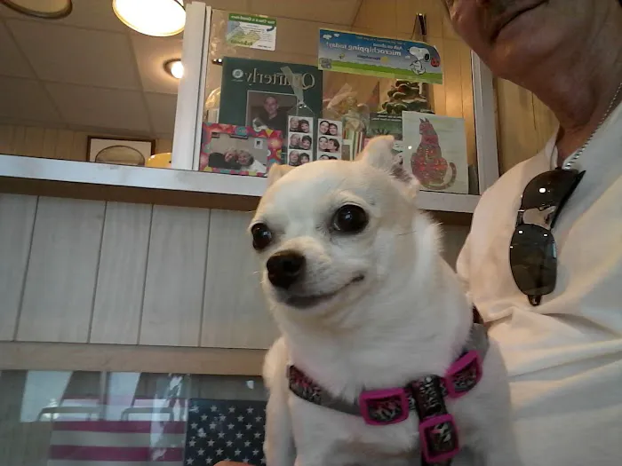 Cottage Veterinary Hospital Picture 5