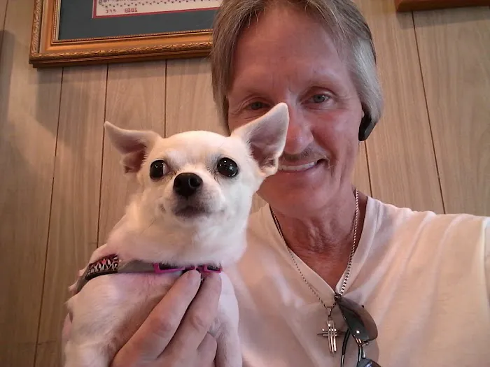 Cottage Veterinary Hospital Picture 2