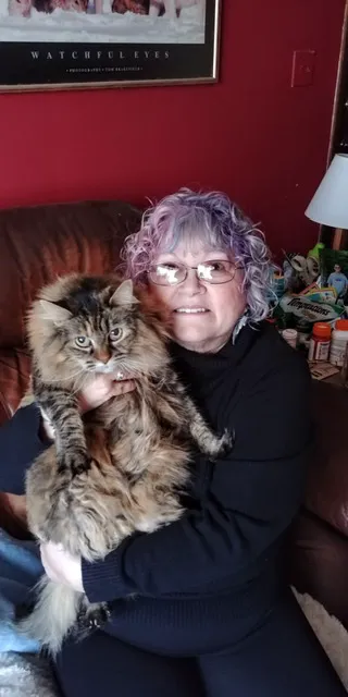 Cottage Veterinary Hospital Picture 7