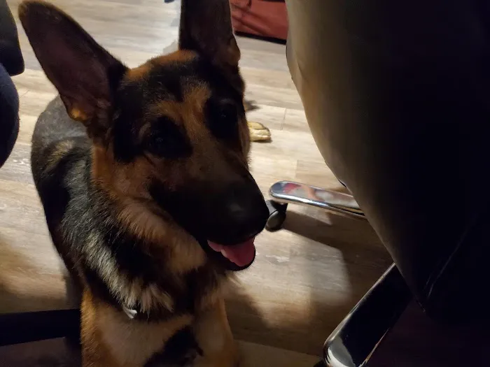 Cottage Veterinary Hospital Picture 3