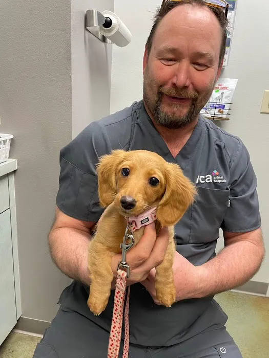 VCA Parkcrest Animal Hospital and Pet Lodge Picture 3