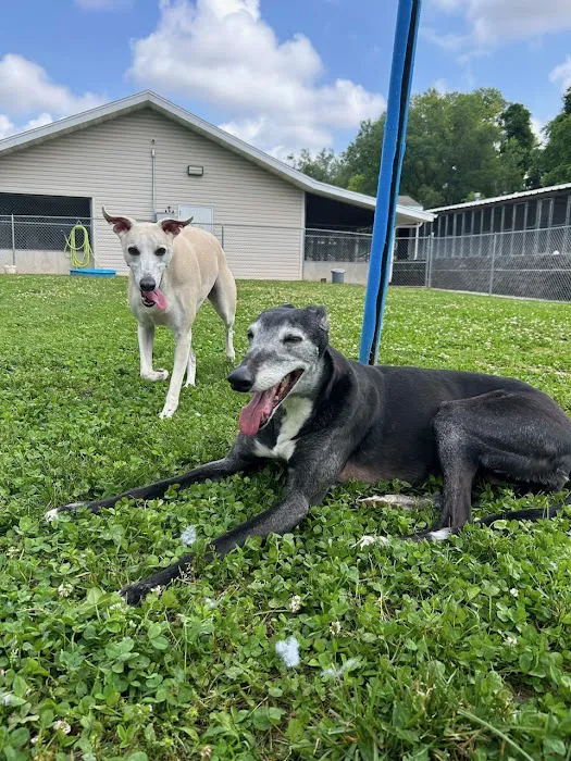 VCA Parkcrest Animal Hospital and Pet Lodge Picture 7