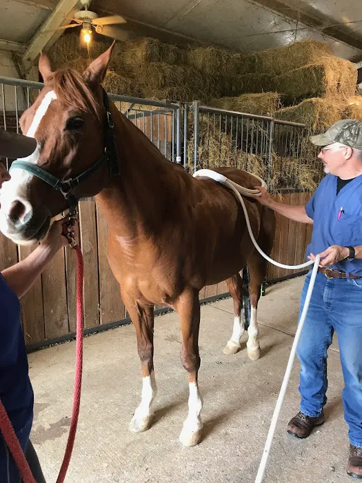 Integrative Veterinary Services of Missouri Picture 8