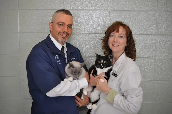 Angel Animal Hospital Picture 8