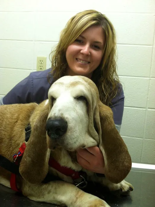 Angel Animal Hospital Picture 10