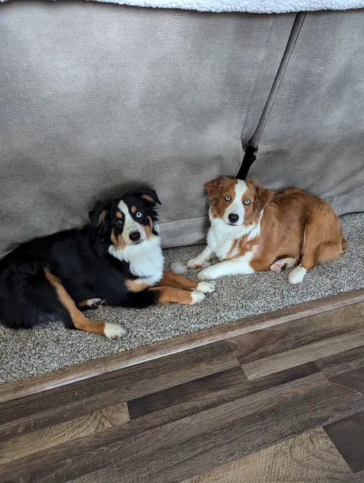 Nevada Veterinary Clinic Picture 1