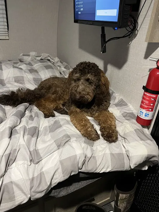 Nevada Veterinary Clinic Picture 4