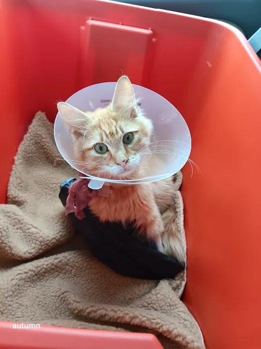 Nevada Veterinary Clinic Picture 2