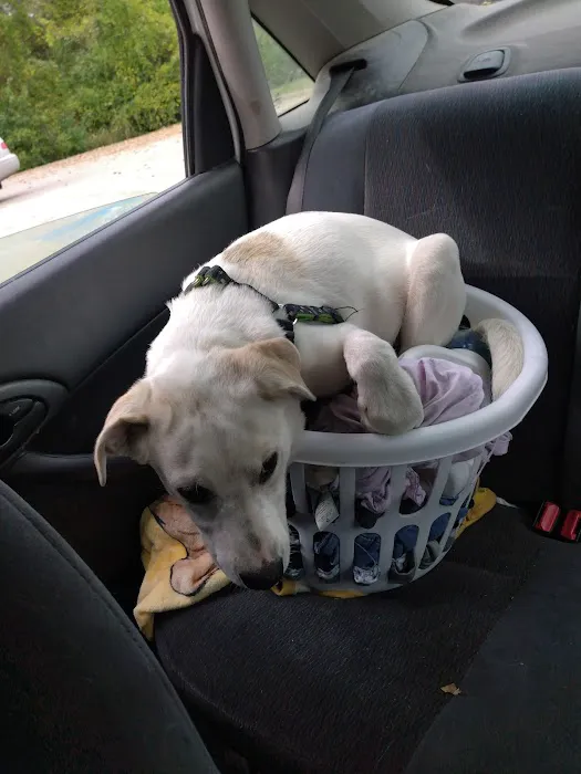 Nevada Veterinary Clinic Picture 5