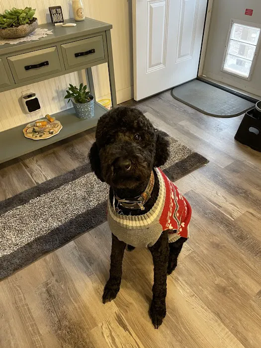 Nevada Veterinary Clinic Picture 8