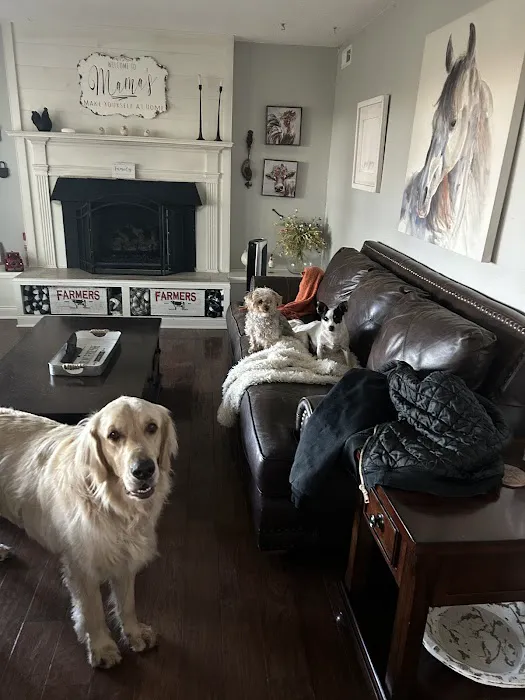 Nevada Veterinary Clinic Picture 9