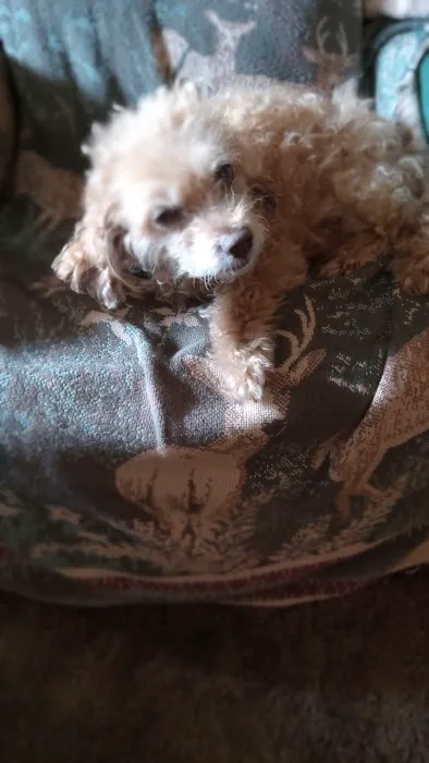 Nevada Veterinary Clinic Picture 6