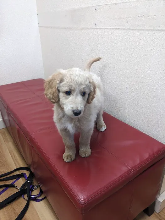 South Shore Animal Hospital Picture 2