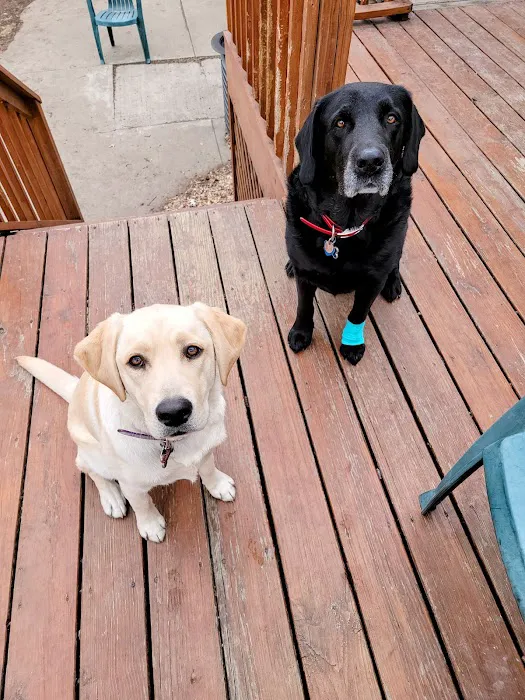 South Shore Animal Hospital Picture 7