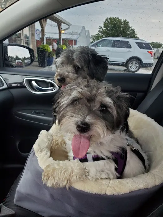 South Shore Animal Hospital Picture 10