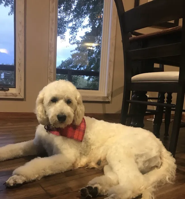 South Shore Animal Hospital Picture 8