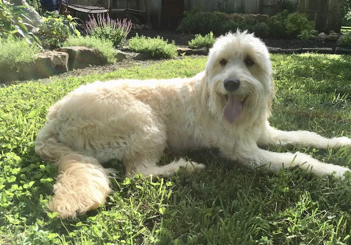 South Shore Animal Hospital Picture 9