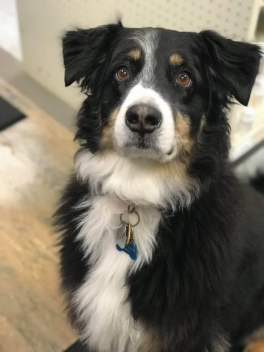 Parks Veterinary Picture 2