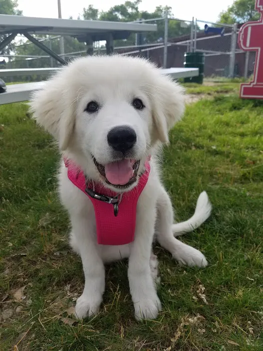 Parks Veterinary Picture 3