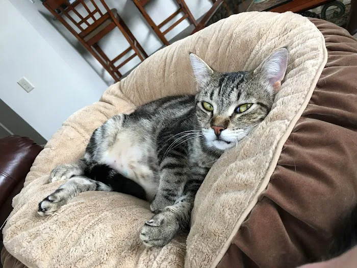 Parks Veterinary Picture 1