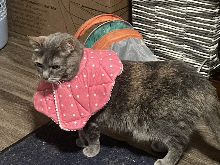 Parks Veterinary Picture 5