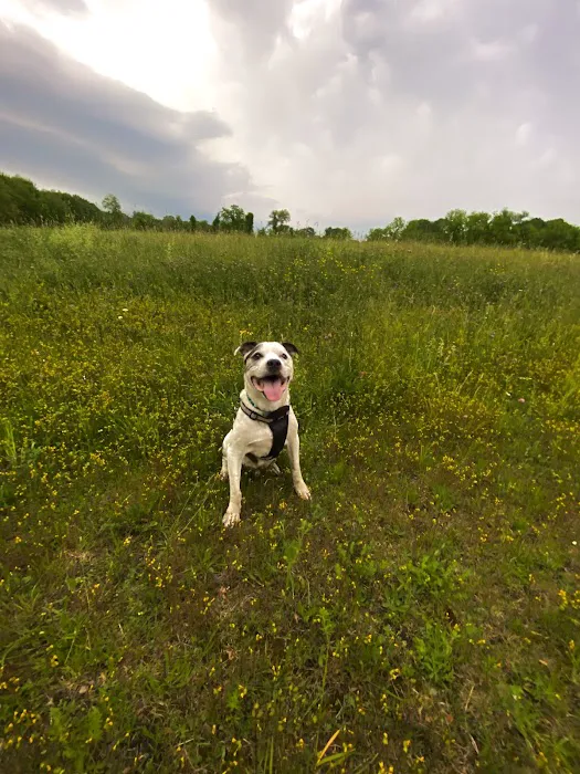 Parks Veterinary Picture 4