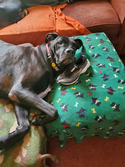 Parks Veterinary Picture 7