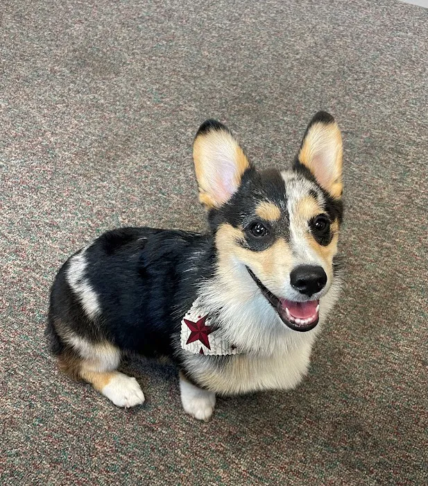 Parks Veterinary Picture 8