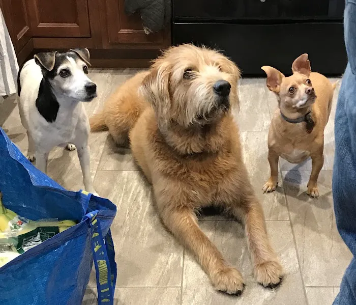 Parks Veterinary Picture 10