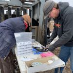 Platte Valley Veterinary Hospital