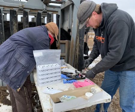 Platte Valley Veterinary Hospital