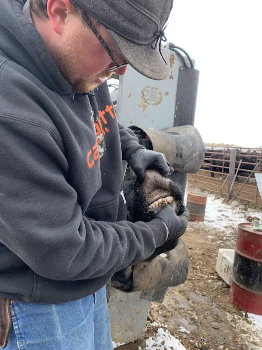 Platte Valley Veterinary Hospital Picture 3
