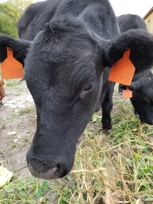 Platte Valley Veterinary Hospital Picture 5