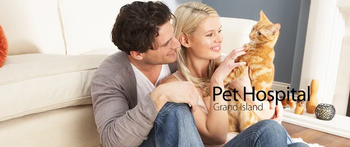 Pet Hospital Picture 6