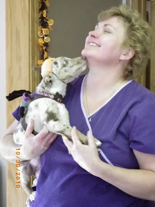 Pet Hospital Picture 5