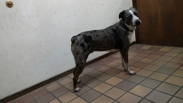 Grand Island Veterinary Hospital Picture 3