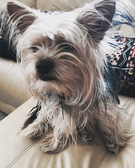 Grand Island Veterinary Hospital Picture 4