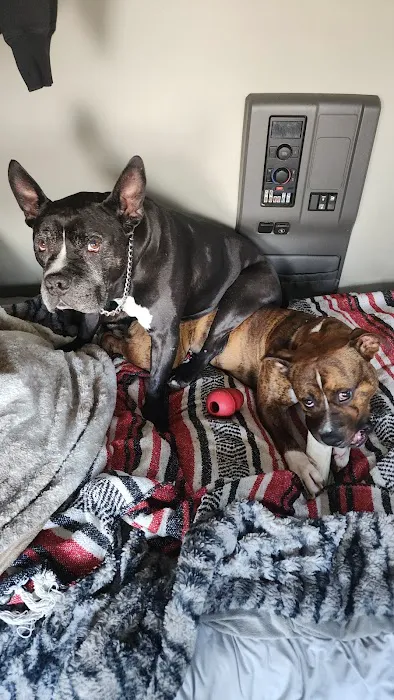 Grand Island Veterinary Hospital Picture 6