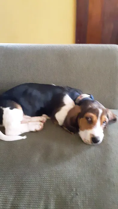 Grand Island Veterinary Hospital Picture 7