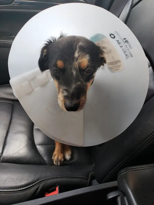 Family Pet Clinic Picture 1