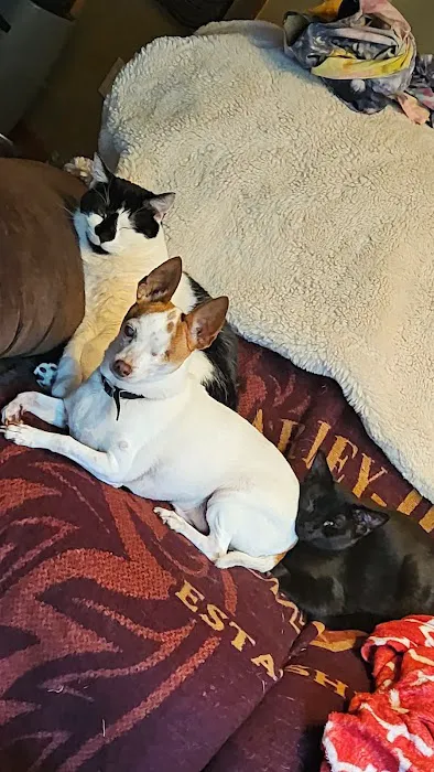 Family Pet Clinic Picture 5