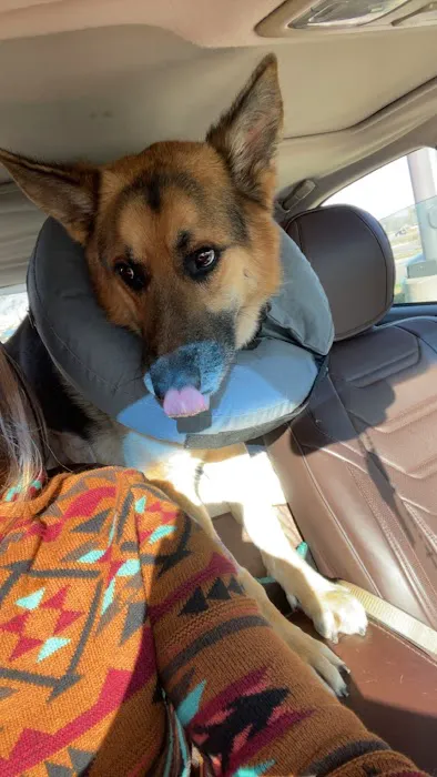 Family Pet Clinic Picture 9