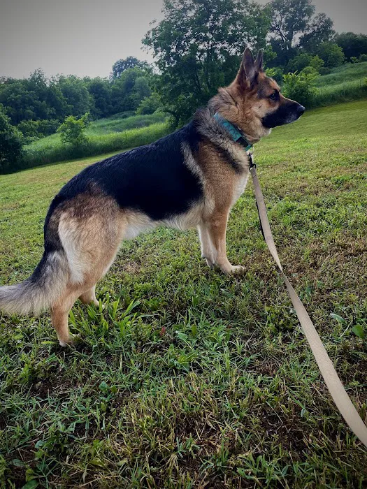 Family Pet Clinic Picture 10